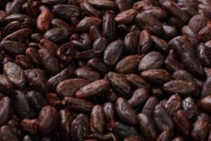 Brown roasted cocoa beans seeds pattern texture background photo