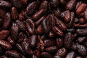Brown roasted cocoa beans seeds pattern texture background photo