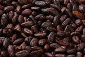 Brown roasted cocoa beans seeds pattern texture background photo