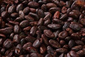 Brown roasted cocoa beans seeds pattern texture background photo