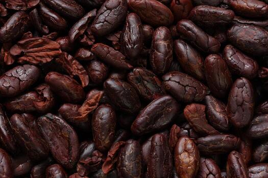 Brown roasted cocoa beans seeds pattern texture background photo