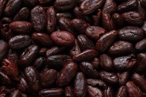 Brown roasted cocoa beans seeds pattern texture background photo