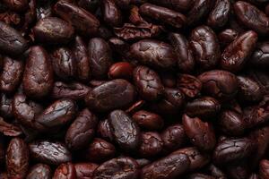 Brown roasted cocoa beans seeds pattern texture background photo