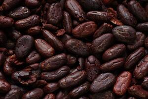 Brown roasted cocoa beans seeds pattern texture background photo