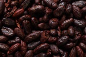 Brown roasted cocoa beans seeds pattern texture background photo