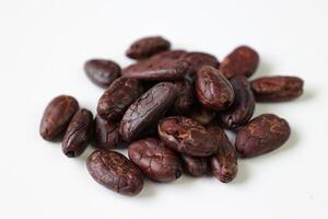 Brown roasted cocoa beans seeds, cocoa bean photo