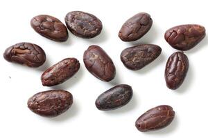 Brown roasted cocoa beans seeds, cocoa bean photo