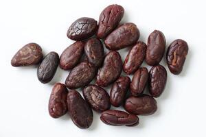 Brown roasted cocoa beans seeds, cocoa bean photo