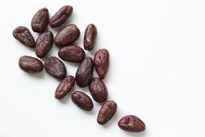Brown roasted cocoa beans seeds, cocoa bean photo