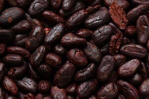 Brown roasted cocoa beans seeds pattern texture background photo