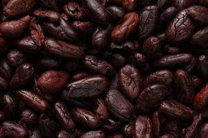 Brown roasted cocoa beans seeds pattern texture background photo