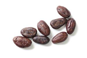 Brown roasted cocoa beans seeds, cocoa bean photo