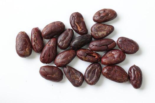 Brown roasted cocoa beans seeds, cocoa bean photo