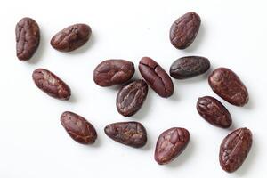Brown roasted cocoa beans seeds, cocoa bean photo
