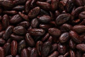 Brown roasted cocoa beans seeds pattern texture background photo