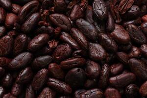 Brown roasted cocoa beans seeds pattern texture background photo