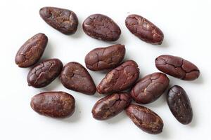 Brown roasted cocoa beans seeds, cocoa bean photo