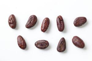 Brown roasted cocoa beans seeds, cocoa bean photo