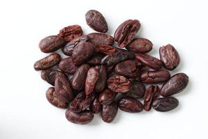 Brown roasted cocoa beans seeds, cocoa bean photo