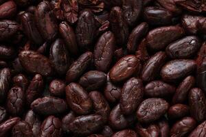 Brown roasted cocoa beans seeds pattern texture background photo