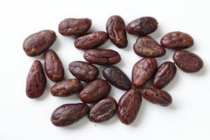 Brown roasted cocoa beans seeds, cocoa bean photo