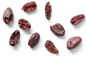 Brown roasted cocoa beans seeds, cocoa bean photo