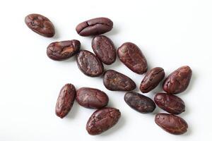 Brown roasted cocoa beans seeds, cocoa bean photo