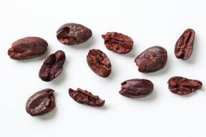 Brown roasted cocoa beans seeds, cocoa bean photo