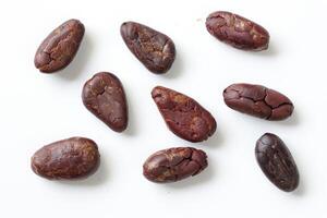 Brown roasted cocoa beans seeds, cocoa bean photo