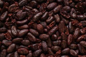 Brown roasted cocoa beans seeds, cocoa bean photo