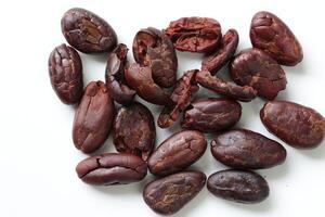 Brown roasted cocoa beans seeds, cocoa bean photo