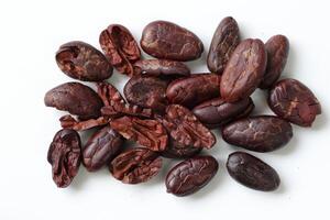 Brown roasted cocoa beans seeds, cocoa bean photo