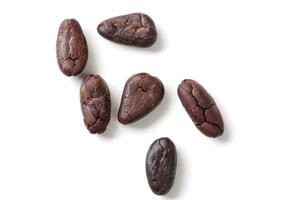 Brown roasted cocoa beans seeds, cocoa bean photo