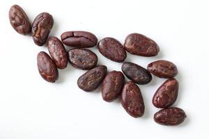 Brown roasted cocoa beans seeds, cocoa bean photo