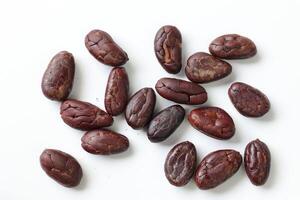 Brown roasted cocoa beans seeds, cocoa bean photo