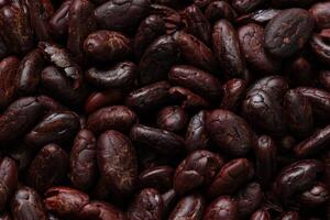 Brown roasted cocoa beans seeds pattern texture background photo
