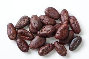 Brown roasted cocoa beans seeds, cocoa bean photo