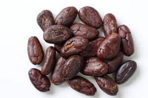 Brown roasted cocoa beans seeds, cocoa bean photo