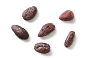 Brown roasted cocoa beans seeds, cocoa bean photo