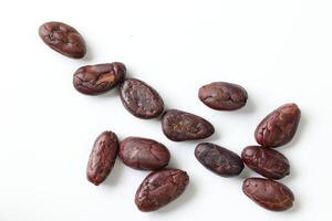 Brown roasted cocoa beans seeds, cocoa bean photo