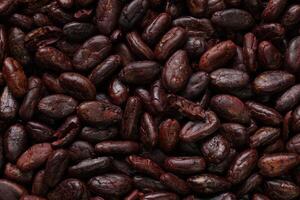 Brown roasted cocoa beans seeds, cocoa bean photo