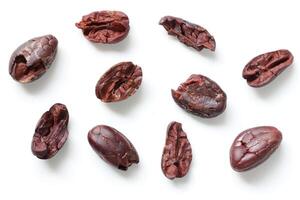 Brown roasted cocoa beans seeds, cocoa bean photo