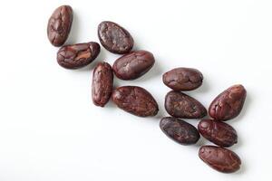 Brown roasted cocoa beans seeds, cocoa bean photo