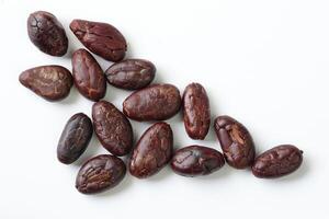 Brown roasted cocoa beans seeds, cocoa bean photo