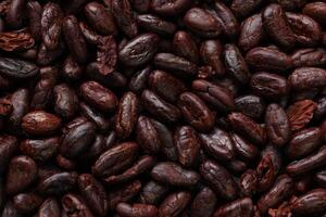 Brown roasted cocoa beans seeds, cocoa bean photo