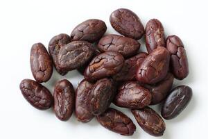 Brown roasted cocoa beans seeds, cocoa bean photo