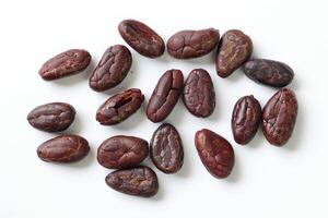 Brown roasted cocoa beans seeds, cocoa bean photo