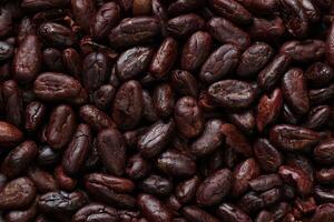 Brown roasted cocoa beans seeds, cocoa bean photo