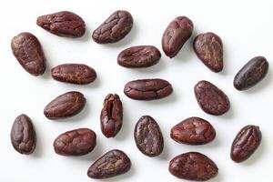 Brown roasted cocoa beans seeds, cocoa bean photo