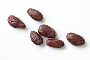 Brown roasted cocoa beans seeds, cocoa bean photo